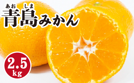 みかん【先行受付】【2026年1月末以降発送】 濃厚な甘さが特徴！青島みかん ＜約2.5kg＞ 広島 三原 佐木島 鷺島みかんじま 017053