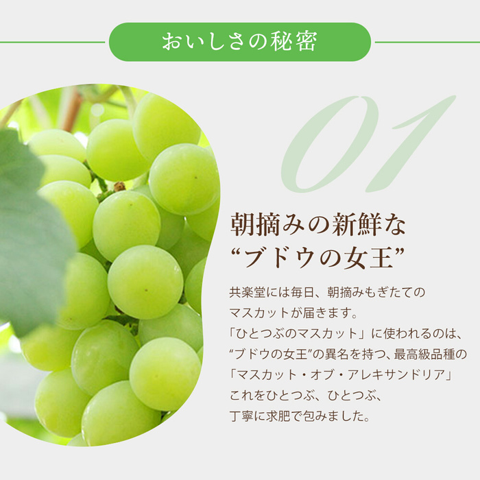 【先行受付】ひとつぶのマスカット 20個入り 2026年5月中旬以降発送予定 共楽堂 夏季限定品 ぶどう ブドウ スイーツ デザート 和菓子 お菓子 菓子 018003