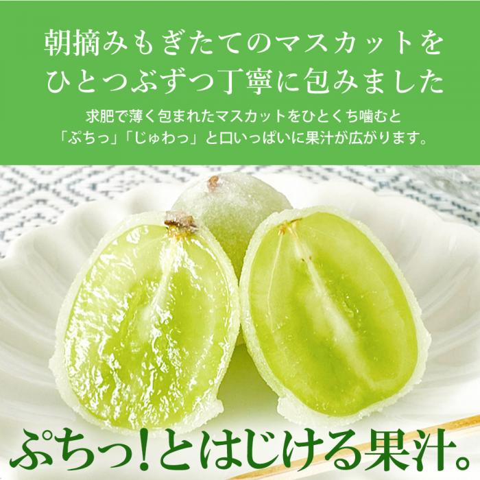 【先行受付】ひとつぶの シャインマスカット 選べる個数 6個入 8月頃～順次発送予定 好評にて夏の定番商品化決定！共楽堂 シャインマスカット もぎたて 夏季限定 晴王 求肥 スイーツ 和菓子 018011