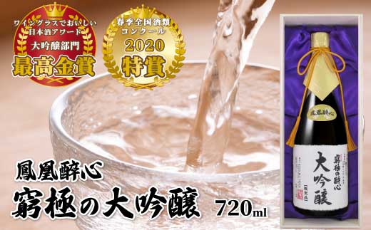 醉心山根本店「究極の醉心 大吟醸」ワイングラスでおいしい日本酒 720ml 020002