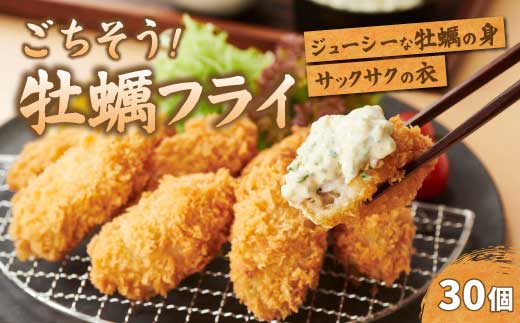 【不漁に負けるな！】広島県産かき使用！ご馳走かきフライ 250g×3セット カキフライ かきふらい 牡蠣 小分け 冷凍 おかず 惣菜 揚げ物 簡単調理 三原市 タカノブ食品 022001