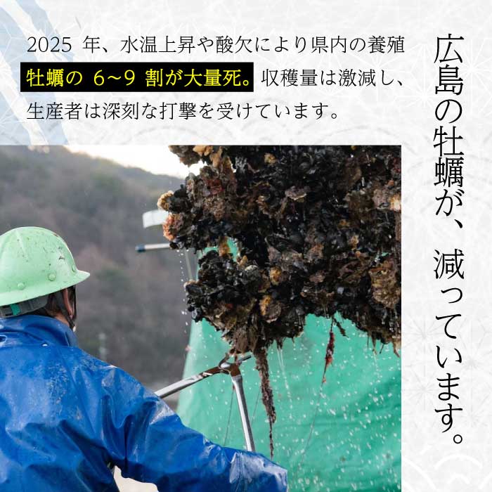 【不漁に負けるな！】広島県産かき使用！ご馳走かきフライ 2箱 カキフライ 牡蠣 小分け 冷凍 おかず 惣菜 揚げ物 簡単調理 三原市 タカノブ食品 022002
