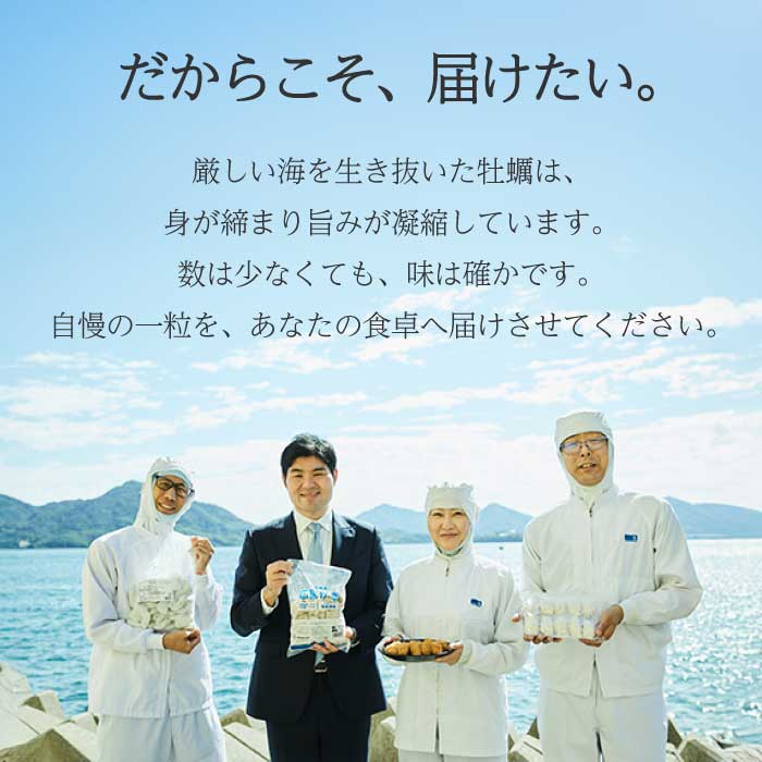 【不漁に負けるな！】広島県産かき使用！ご馳走かきフライ 2箱 カキフライ 牡蠣 小分け 冷凍 おかず 惣菜 揚げ物 簡単調理 三原市 タカノブ食品 022002