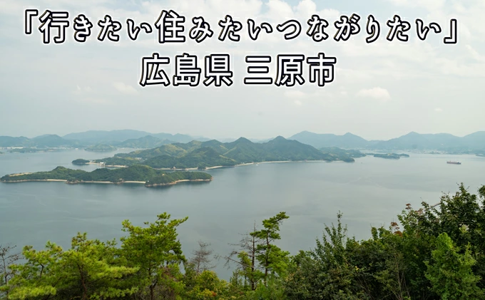 黒糖入りしょうが湯6箱(1箱20g×10入) ＜激辛＞国産生姜 しょうが湯 飲料 粉末タイプ ショウガ ジンジャー ホットドリンク 温活 023006