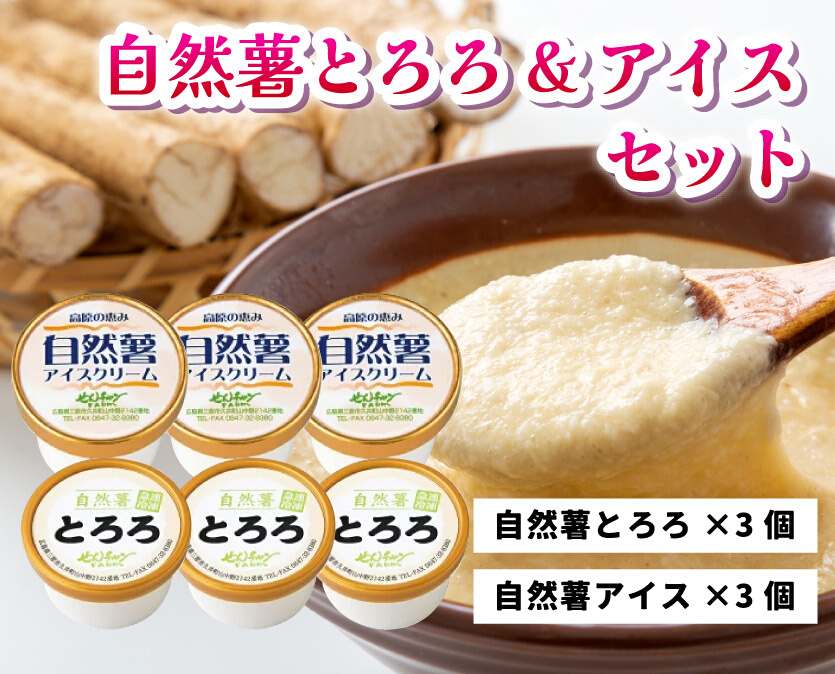 とろろ アイスクリーム 2つを混ぜると大福味に 高原の恵み セット 6個入り 自然薯 詰め合わせ 野菜 アイス スイーツ デザート　029001