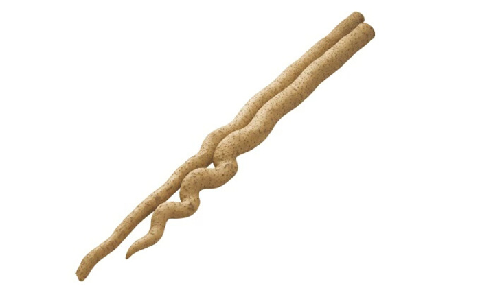 讓咎ォ375ス阪〒謗。繧後◆シ∬ェ辟カ阮ッシ亥喧邊ァ邂ア蜈・繧奇シ1.5kg 蠎蟲カ 荳牙次 驥手除 閾ェ辟カ阮ッ 縺ィ繧阪m 029004