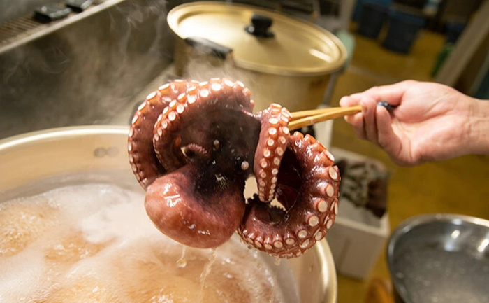 【三原市漁業協同組合】三原やっさタコのお造り 三種盛り 刺身 蛸 タコ 魚介類 マダコ 瀬戸内 031003