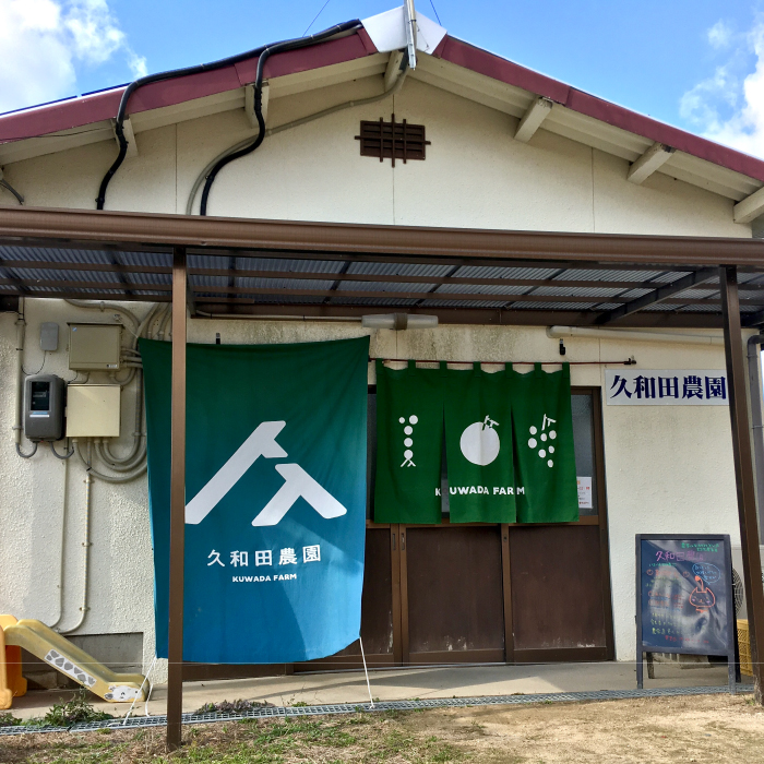 ãå
è¡åä»ãä¹
åç°èŸ²åã®ææ¡ã ã·ã£ã€ã³ãã¹ã«ãã 2æ¿ ãã¹ã«ãã ã¶ã©ã ãã㊠æç© ãã«ãŒã åºå³¶ç äžååž 034003