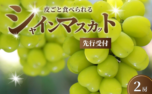 【先行受付】久和田農園の朝採り シャインマスカット 2房 マスカット ぶどう ブドウ 果物 フルーツ 広島県 三原市 034003