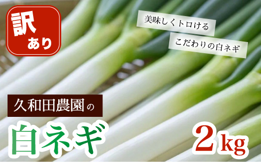 【訳アリ】久和田農園 白ネギ ご自宅用 2kg 期間限定 野菜 ネギ 長ねぎ 広島県 三原市 034012