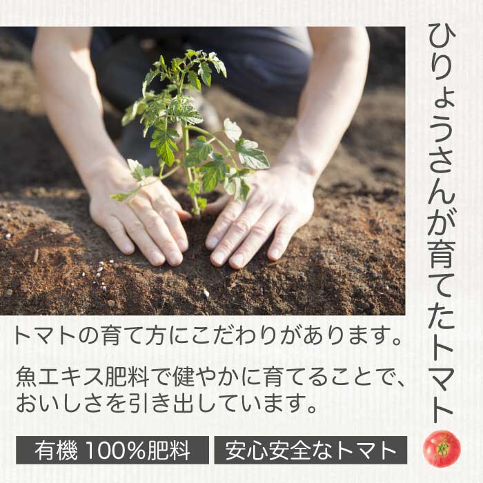 ひりょうやさんの トマトジュース 500ml×1本、80ml×2本 トマトジュース 野菜ジュース トマト 野菜 無添加 広島県 三原市 042002