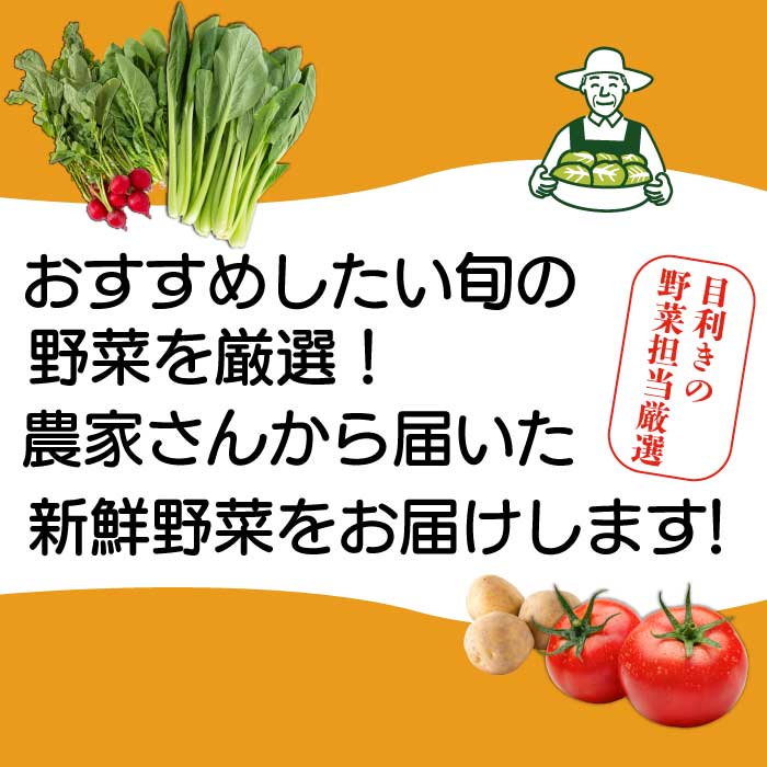 ãã詊ããéã®é§
ã»ã¬ã¯ã æ¬éèã€ãããã ããã éè è©°ãåãã 5ïœ8åç® æ°é®® åœç£ å¥åº· ãã«ã·ãŒ ãµã©ã é å£ç¯ 043044