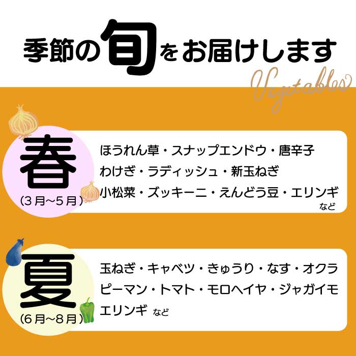 ãã詊ããéã®é§
ã»ã¬ã¯ã æ¬éèã€ãããã ããã éè è©°ãåãã 5ïœ8åç® æ°é®® åœç£ å¥åº· ãã«ã·ãŒ ãµã©ã é å£ç¯ 043044