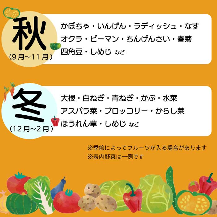 ãã詊ããéã®é§
ã»ã¬ã¯ã æ¬éèã€ãããã ããã éè è©°ãåãã 5ïœ8åç® æ°é®® åœç£ å¥åº· ãã«ã·ãŒ ãµã©ã é å£ç¯ 043044
