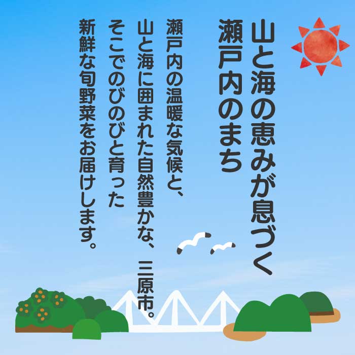 ãã詊ããéã®é§
ã»ã¬ã¯ã æ¬éèã€ãããã ããã éè è©°ãåãã 5ïœ8åç® æ°é®® åœç£ å¥åº· ãã«ã·ãŒ ãµã©ã é å£ç¯ 043044