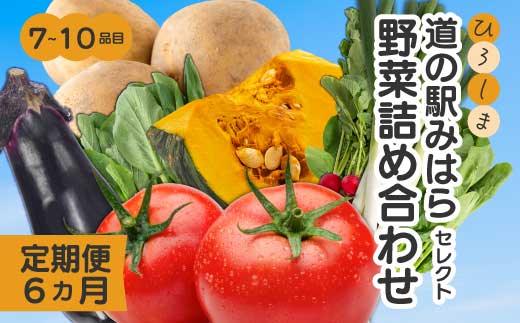 【6か月定期便】道の駅セレクト 旬野菜つめあわせ やさい 野菜 詰め合わせ 7～10品目 新鮮 国産 健康 ヘルシー サラダ 鍋 季節 043042