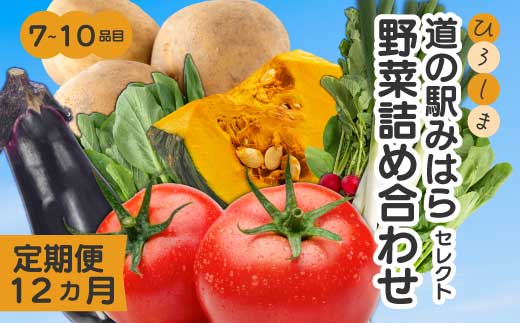 【12か月定期便】道の駅セレクト 旬野菜つめあわせ やさい 野菜 詰め合わせ 7～10品目 新鮮 国産 健康 ヘルシー サラダ 鍋 季節 043043