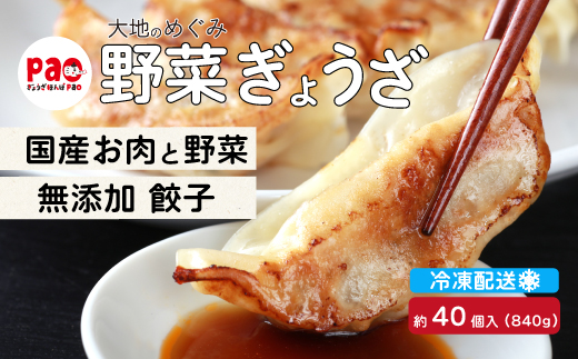 paoの無添加餃子「大地のめぐみ 野菜ぎょうざ」840g(約40個) 餃子 ギョーザ 惣菜 冷凍 中華 点心 おかず おつまみ 国産野菜 058007