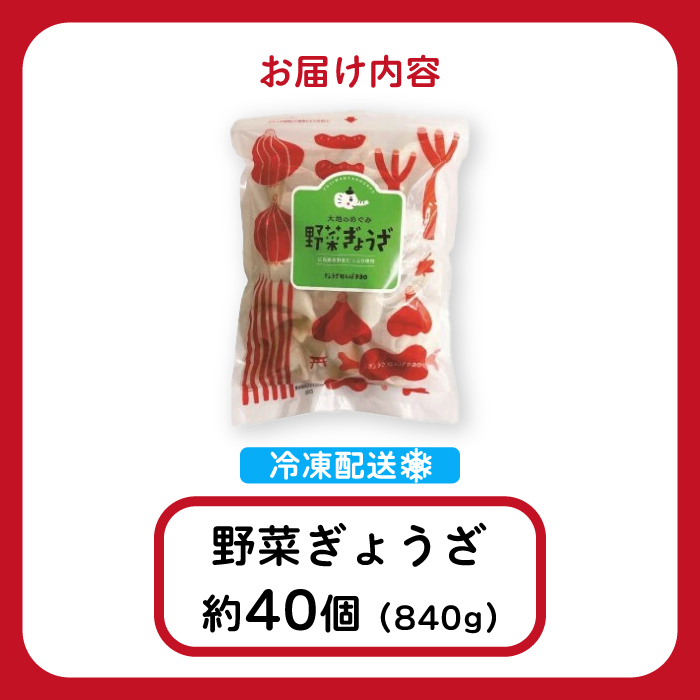 paoの無添加餃子「大地のめぐみ 野菜ぎょうざ」840g(約40個) 餃子 ギョーザ 惣菜 冷凍 中華 点心 おかず おつまみ 国産野菜 058007
