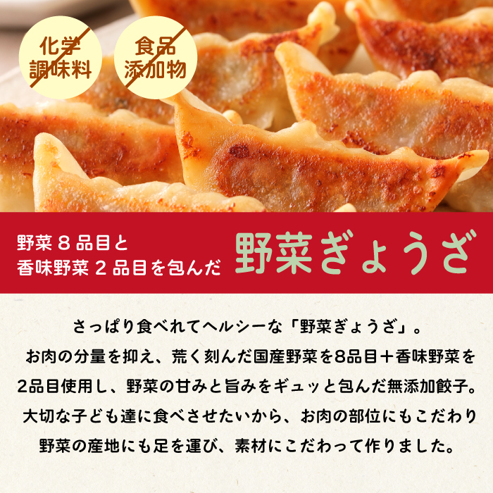 paoの無添加餃子「大地のめぐみ 野菜ぎょうざ」840g(約40個) 餃子 ギョーザ 惣菜 冷凍 中華 点心 おかず おつまみ 国産野菜 058007