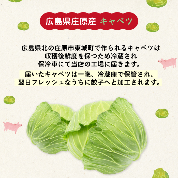 paoの無添加餃子「大地のめぐみ 野菜ぎょうざ」840g(約40個) 餃子 ギョーザ 惣菜 冷凍 中華 点心 おかず おつまみ 国産野菜 058007