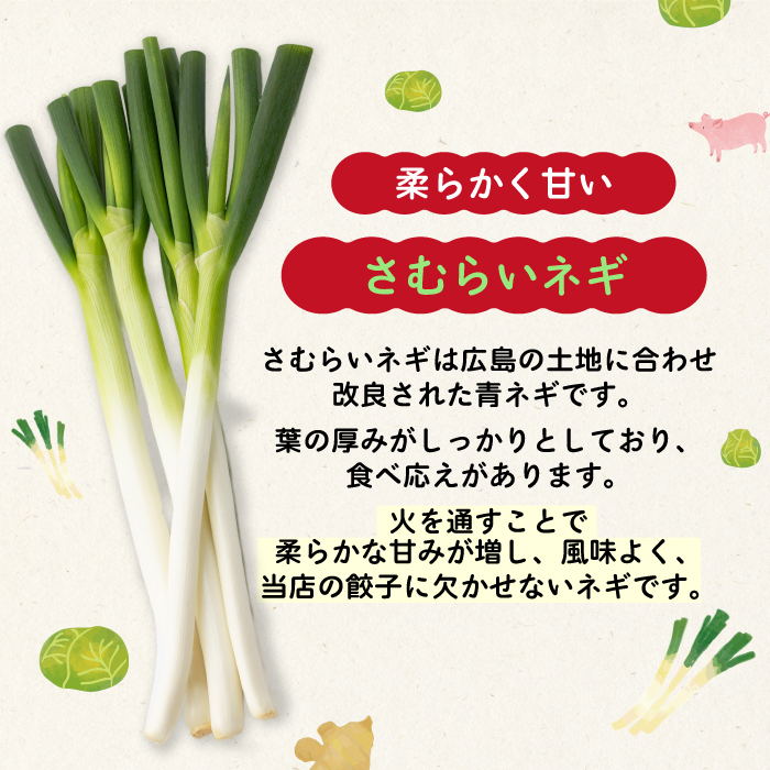 paoの無添加餃子「大地のめぐみ 野菜ぎょうざ」840g(約40個) 餃子 ギョーザ 惣菜 冷凍 中華 点心 おかず おつまみ 国産野菜 058007