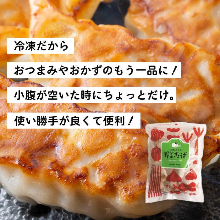 paoの無添加餃子「大地のめぐみ 野菜ぎょうざ」840g(約40個) 餃子 ギョーザ 惣菜 冷凍 中華 点心 おかず おつまみ 国産野菜 058007