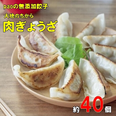 paoの無添加餃子「大地のちから 肉ぎょうざ」840g(約40個) 餃子 ギョーザ 惣菜 冷凍 中華 点心 おかず おつまみ 国産野菜 058008