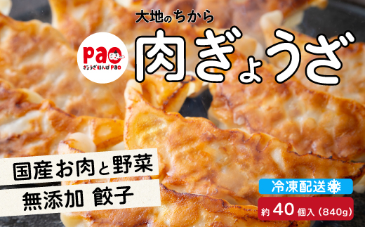 paoの無添加餃子「大地のちから 肉ぎょうざ」840g(約40個) 餃子 ギョーザ 惣菜 冷凍 中華 点心 おかず おつまみ 国産野菜 058008