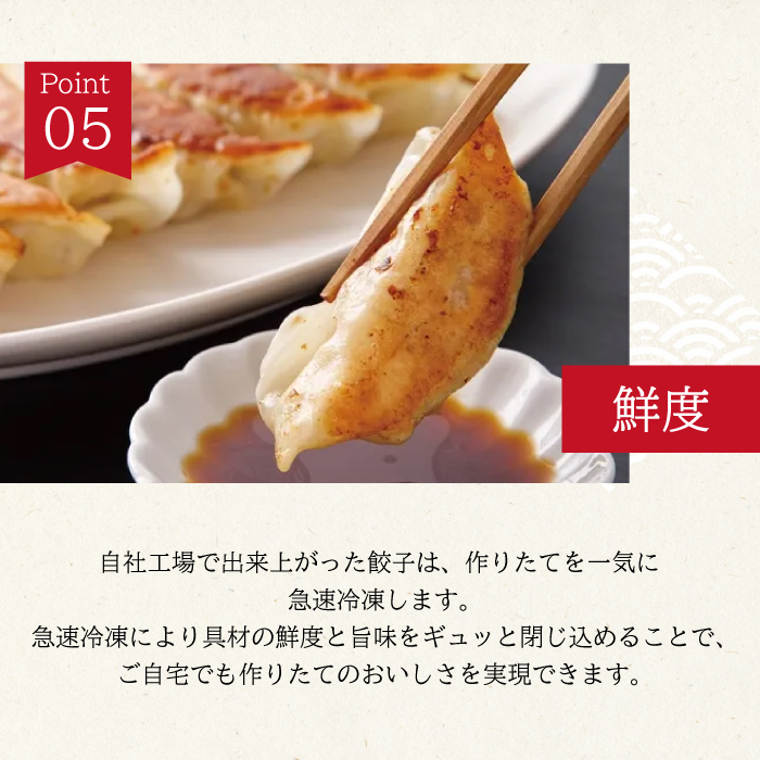 「包餃子」260g(約20個) 餃子本舗 包 餃子 ギョーザ ぎょうざ 惣菜 冷凍 中華 点心 おかず おつまみ 国産野菜 058011