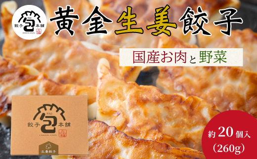 「黄金生姜餃子」260g(約20個) 餃子本舗 包 餃子 しょうが ギョーザ ぎょうざ 惣菜 冷凍 中華 点心 おかず おつまみ 国産野菜 058012