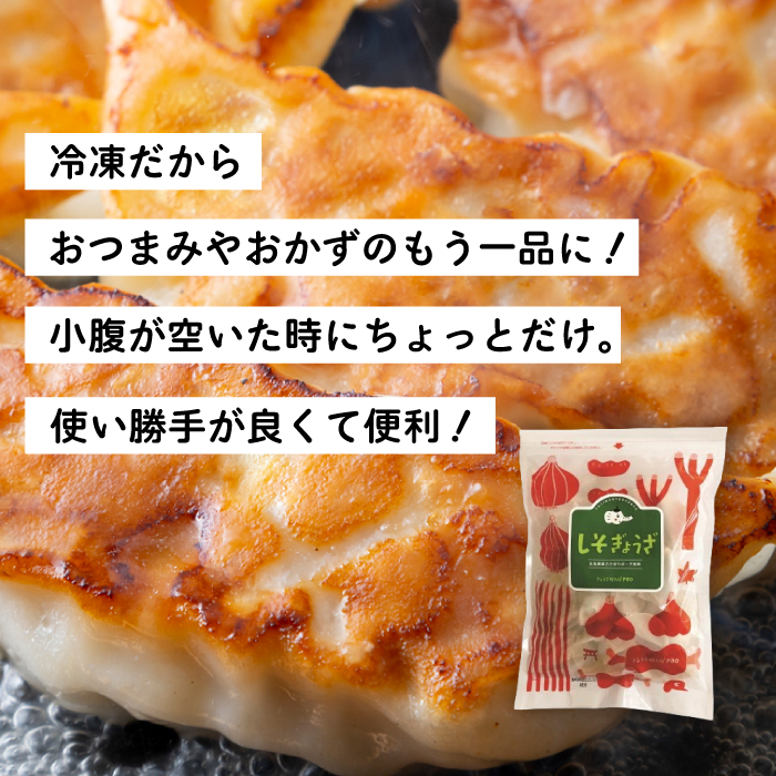 【3か月定期便】paoの無添加餃子「しそぎょうざ」520g(約40個) 全3回お届け 餃子 ギョーザ 惣菜 冷凍 中華 点心 おかず おつまみ 国産野菜 しそ風味 化学調味料不使用 食品添加物不使用 058018