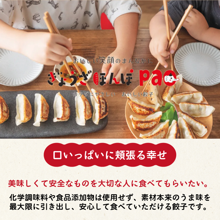 【3か月定期便】paoの無添加餃子「しそぎょうざ」520g(約40個) 全3回お届け 餃子 ギョーザ 惣菜 冷凍 中華 点心 おかず おつまみ 国産野菜 しそ風味 化学調味料不使用 食品添加物不使用 058018
