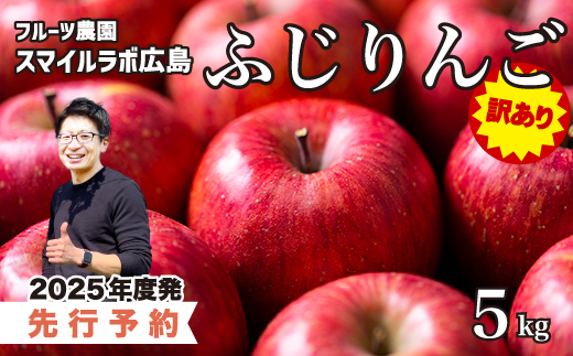 【先行受付】訳あり ふじりんご5kg りんご リンゴ 林檎 新鮮 傷あり 訳あり 産地直送 広島県三原市 【2025年10月頃より順次発送】059011