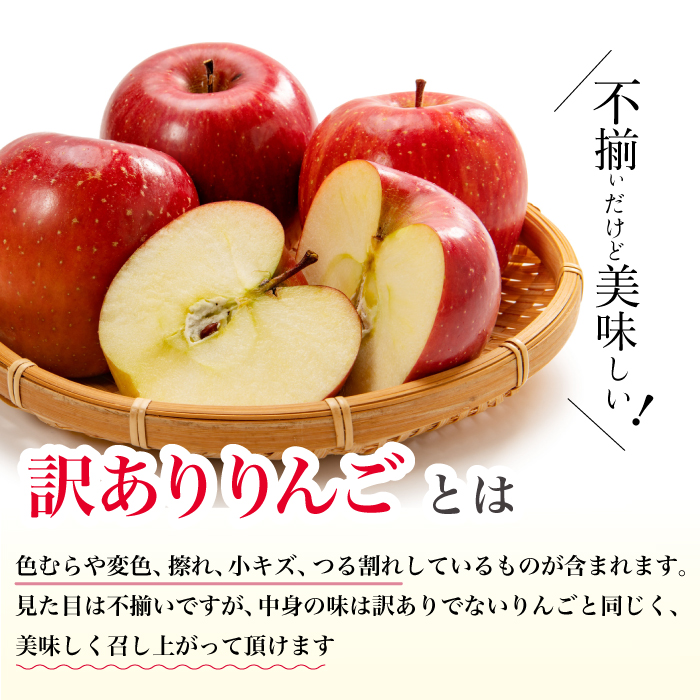 【先行受付】訳あり ふじりんご5kg りんご リンゴ 林檎 新鮮 傷あり 訳あり 産地直送 広島県三原市 【2025年10月頃より順次発送】059011