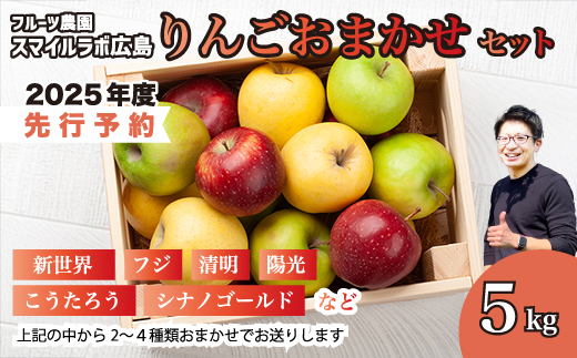 【先行受付】りんご　おまかせセット りんご リンゴ 林檎 詰め合わせ おまかせ 新鮮 産地直送 広島県三原市【2025年10月中旬以降順次発送】 059013