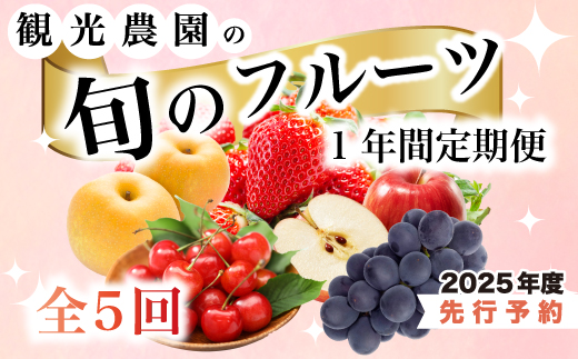 【1年間定期便】旬のフルーツ定期便5回 いちご さくらんぼ 梨 ぶどう りんご 詰め合わせ 新鮮 果物 広島県 三原市 059014