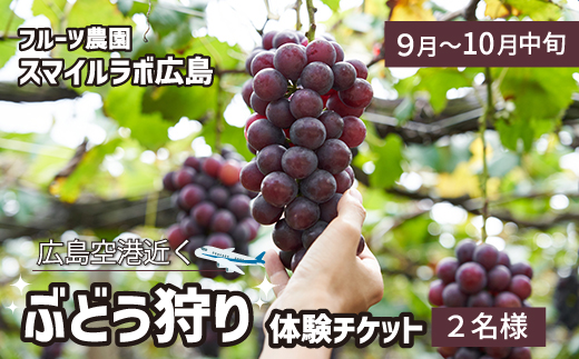 ぶどう狩り利用券 2名様分 フルーツ狩り 体験 果物狩り ぶどう 採り放題 ブドウ 新鮮 広島県三原市 059015