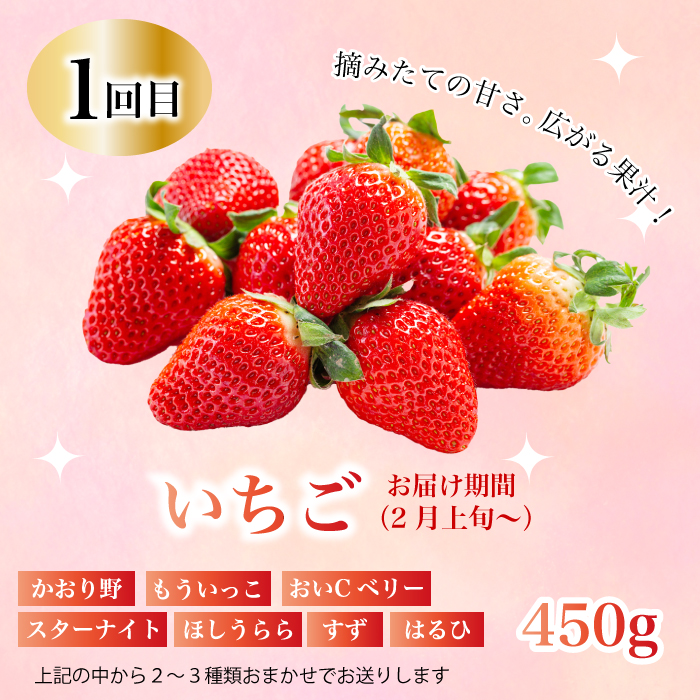 【定期便1年間】豪華フルーツお得パック いちご450g, さくらんぼ500g, 梨2kg, ぶどう2kg, りんご2kg 　詰め合わせ 定期便 1年間 採れたて 新鮮 産地直送 広島県三原市 059021