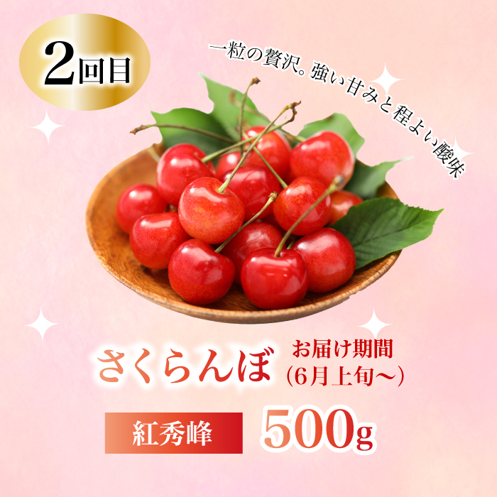 【定期便1年間】豪華フルーツお得パック いちご450g, さくらんぼ500g, 梨2kg, ぶどう2kg, りんご2kg 　詰め合わせ 定期便 1年間 採れたて 新鮮 産地直送 広島県三原市 059021