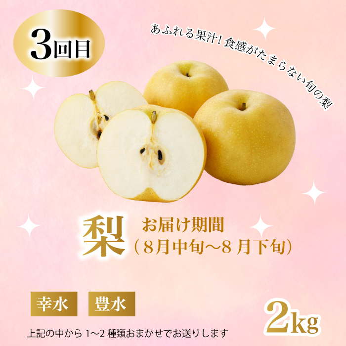 【定期便1年間】豪華フルーツお得パック いちご450g, さくらんぼ500g, 梨2kg, ぶどう2kg, りんご2kg 　詰め合わせ 定期便 1年間 採れたて 新鮮 産地直送 広島県三原市 059021