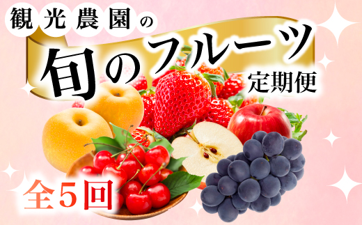 【フルーツ定期便全5回】豪華フルーツ いちご450g,さくらんぼ500g,梨2kg,ぶどう2kg,りんご2kg 詰め合わせ 採れたて 新鮮 産地直送 広島県 三原市 059021