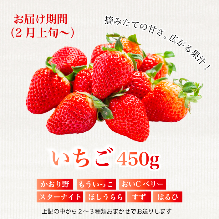 《2026年度先行受付》【フルーツ定期便全5回】 さくらんぼ 梨 ぶどう りんご いちご 豪華フルーツ 詰め合わせ 採れたて 新鮮 産地直送 広島県 三原市 059021