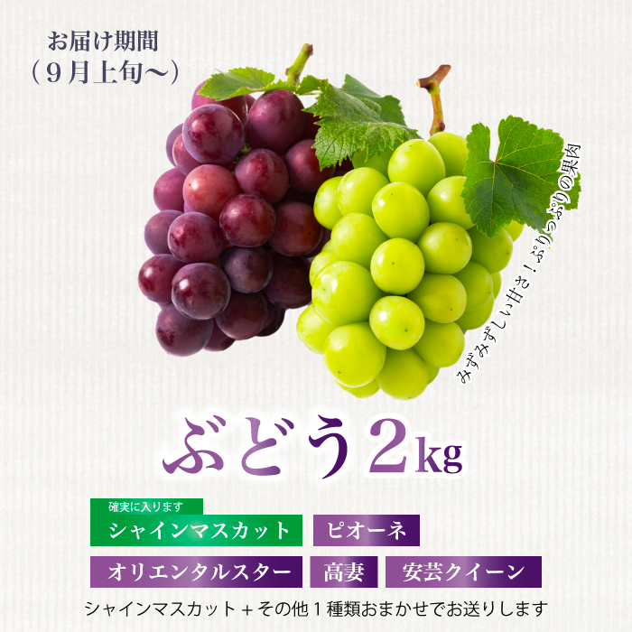 《2026年度先行受付》【フルーツ定期便全5回】 さくらんぼ 梨 ぶどう りんご いちご 豪華フルーツ 詰め合わせ 採れたて 新鮮 産地直送 広島県 三原市 059021