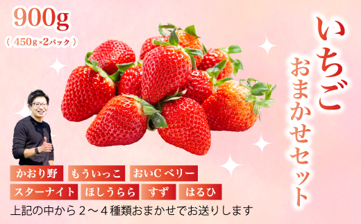 フルーツ農園のおまかせ【いちご】 450g イチゴ 苺 フルーツ 果物 広島県 三原市 059022