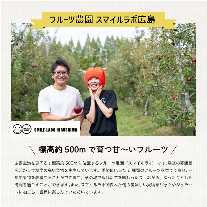 【先行受付】フルーツ農園のおまかせ ～ いちご ～ 450g 2026年3月中旬以降発送予定 イチゴ 苺 フルーツ 果物 広島県 三原市 059022