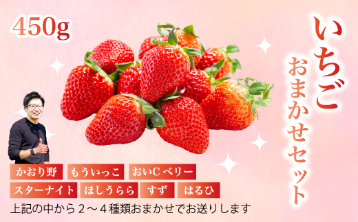 フルーツ農園のおまかせ【いちご】 450g×2パック イチゴ 苺 フルーツ 果物 広島県 三原市 059023