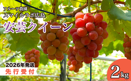 ãå
è¡åä»ãå®èžã¯ã€ãŒã³ 2kg 2026幎9æäžæ¬ä»¥éé æ¬¡çºéäºå® ãã㊠è¡è ã¶ã©ã ãã«ãŒã æç© å®èžã¯ã€ãŒã³ æ°é®® ç£å°çŽé åºå³¶çäžååž 059006