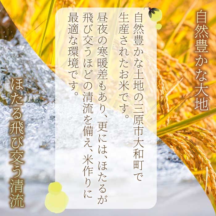 縲贋サ、蜥7蟷エ譁ー邀ウ縲九⊇縺溘k邀ウ縲悟、ァ蜥後ョ驥後榊コ蟲カ縺ゅ″繧阪∪繧10kg(5kgx2) 逋ス邀ウ 邊セ邀ウ 邀ウ 縺薙a 莉、蜥7蟷エ逕」 066010