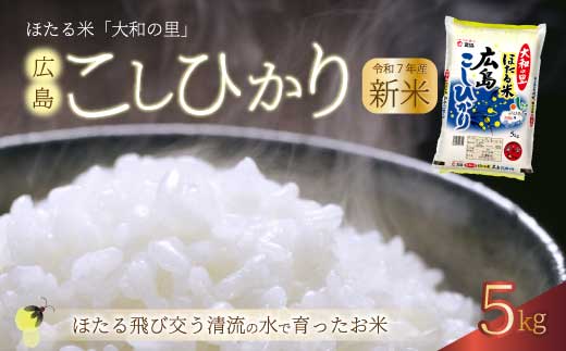 《令和7年新米》ほたる米「大和の里」広島こしひかり 精米 5kg 白米 米 こめ 令和7年産 066001